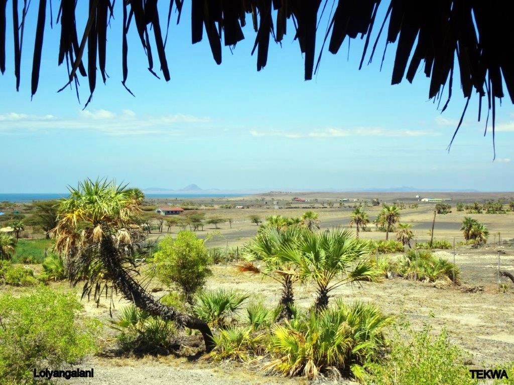 TEKWA-Loiyangalani-004