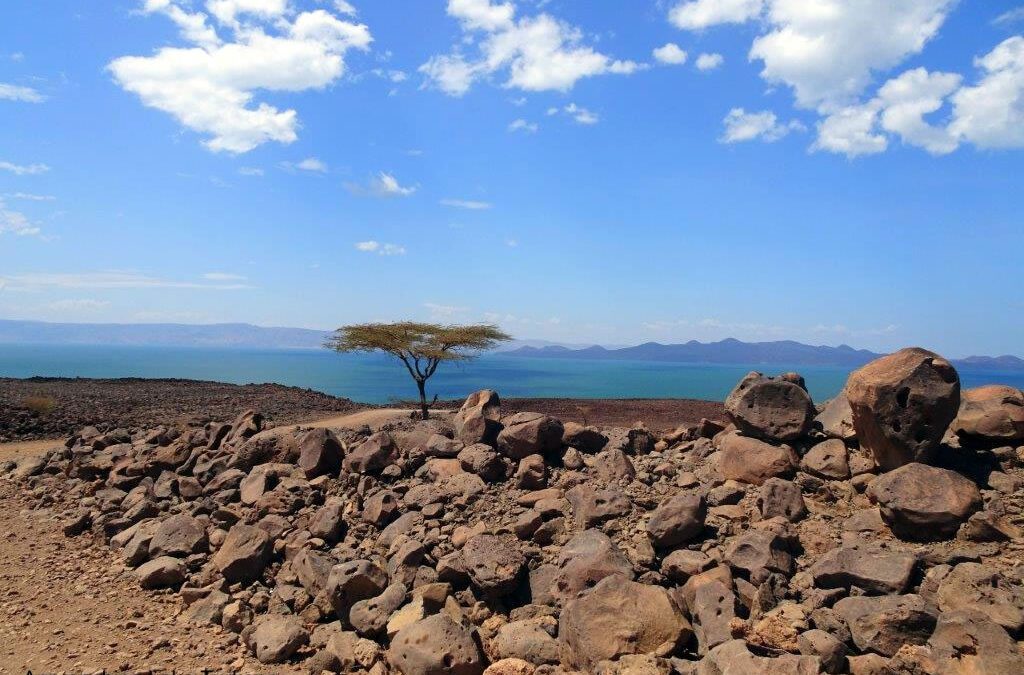 Turkana